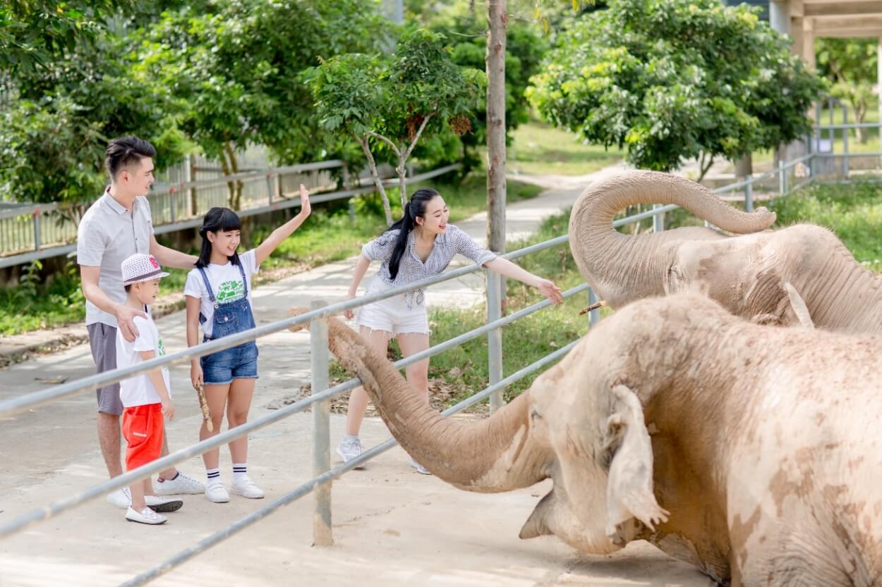 cong-vien-thu-le-diem-den-ly-tuong-cho-giai-tri-va-thu-gian-tai-ha-noi-anh2