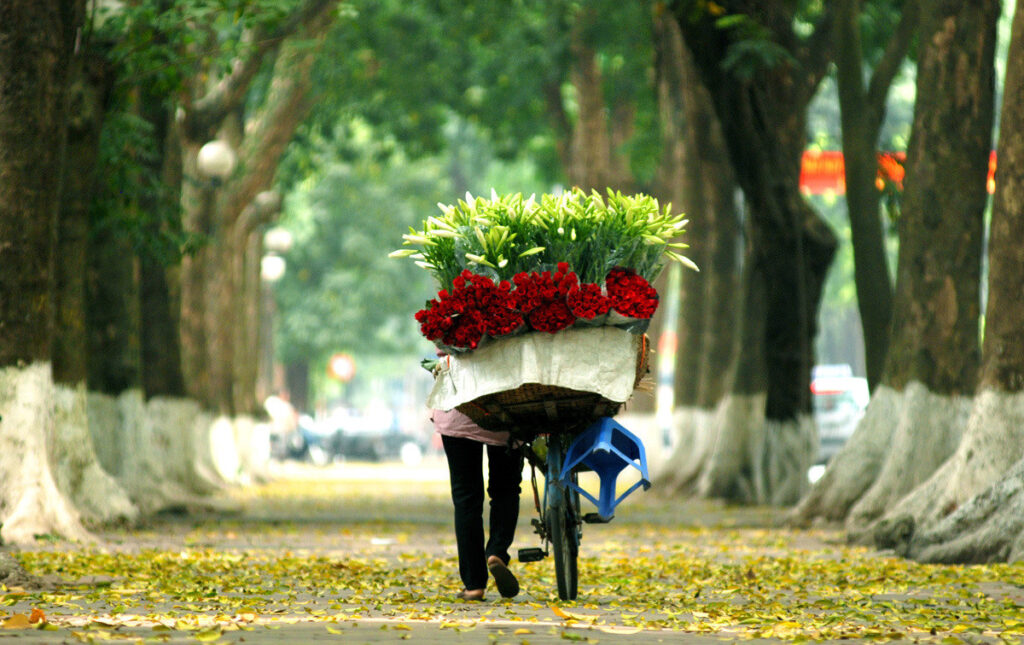 Thu Hà Nội - Lãng mạn như một bản tình ca giữa Thủ đô 2