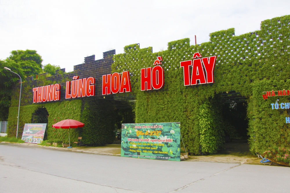 thung lũng hoa hồ tây 4