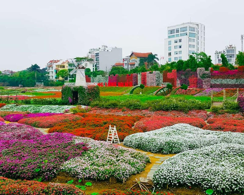 Khám phá vườn hoa bãi đá sông Hồng: Thiên đường sống ảo giữa lòng Hà Nội 2