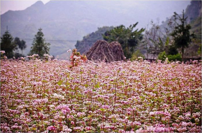 deo-ta-nung-da-lat-cung-duong-huyen-bi-va-canh-quan-hung-vi4