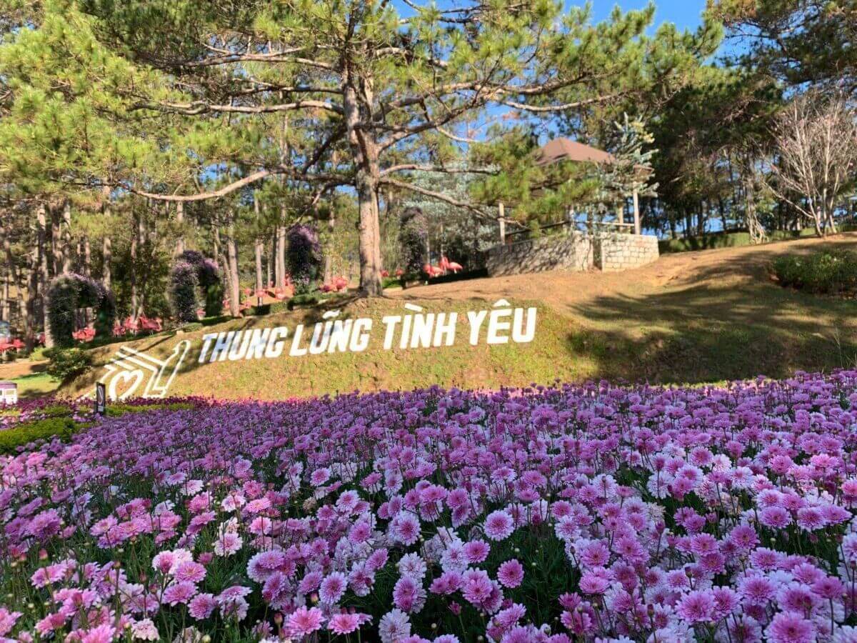 thung-lung-tinh-yeu-co-gi-hot-kham-pha-thung-lung-tinh-yeu-moi-nhat-2024-anh1