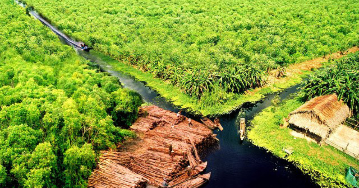 kinh-nghiem-kham-pha-mien-tay-viet-nam-khong-the-bo-lo7