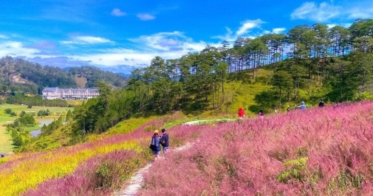 kham-pha-doi-co-hong-da-lat-thien-duong-cua-thien-nhien-lang-man3